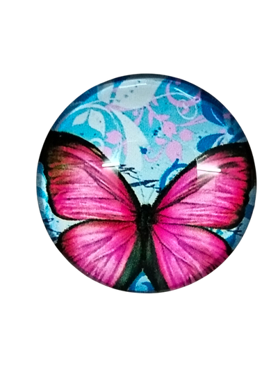 Cajita 1